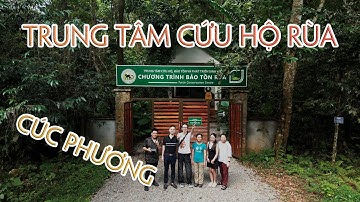Trung tâm cứu hộ và bảo tồn rùa tại rừng quốc gia CÚC PHƯƠNG | WILDVN TV