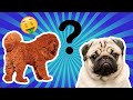 Não acredita? VEJA Os 5 Cachorros Que Custam Uma Fortuna.