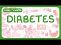 Understanding Insulin and Diabetes