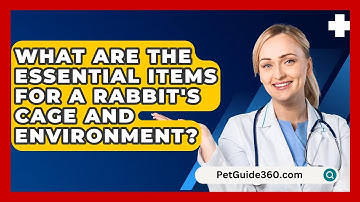 What Are the Essential Items for a Rabbit