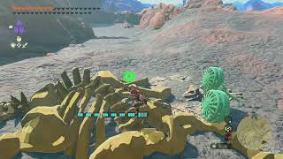Boss: Stalnox, Lake Darman | The Legend of Zelda: Tears of the Kingdom (NS)