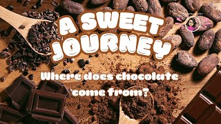 Where Does Chocolate Come From? A Sweet Journey!