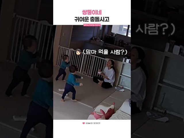 쌍둥이네 귀여운 충돌사고