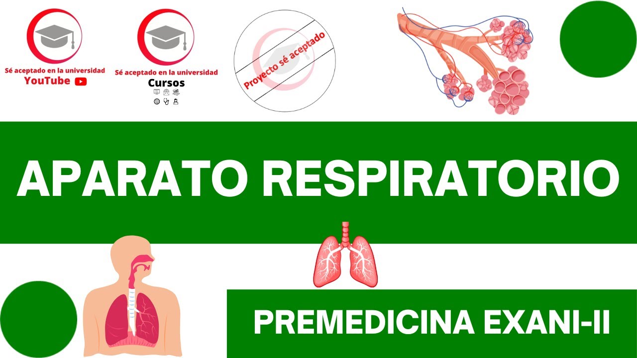 APARATO RESPIRATORIO (ESTRUCTURA Y FUNCIONES BÁSICAS) | CLASE 26 DE PREMEDICINA PARA EXANI-II