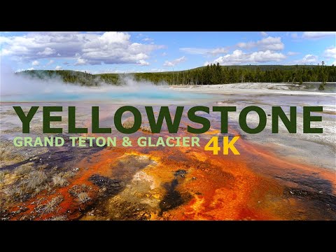 Video: 10 redenen om Yellowstone National Park in de winter te bezoeken