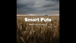 Meet the Product: Smart Puts