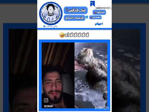 اتوقع كلنا وقع قلبنا عليها كارڤين ك اكسبلور لا اشتراك لايك