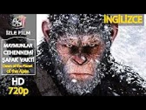 Maymunlar Cehennemi  Şafak Vakti Apes Hell  Yabancı Aksiyon Bilim Kurgu Filmi İzle Full