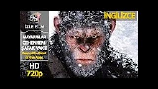 Maymunlar Cehennemi Şafak Vakti Apes Hell Yabancı Aksiyon Bilim Kurgu Filmi İzle Full