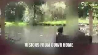 The Dolphins and Whales - A Vision From Down Home from the Vision Alignment Project