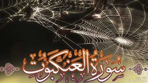 سورة العنكبوت بصوت الشيخ محمد صديق المنشاوي رحمه الله مجود بدون اعلانات
