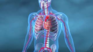 QUÉ ES LA EMBOLIA PULMONAR