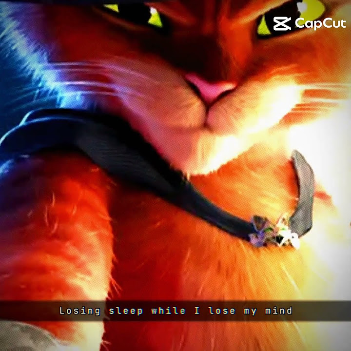 evolution of puss in boots YouTube