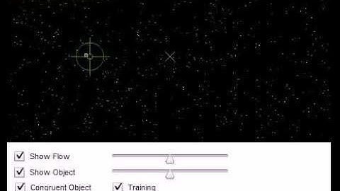Neural Mechanisms of Distracted Driving