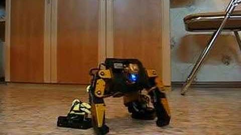 Robonova tilt sensor and gyro test