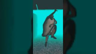 Granny Dance In Bing Bing Boo Song shorts fyp dance