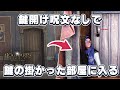 鍵開け呪文無しで鍵付き扉を突破する無駄知識をご紹介【ホグワーツレガシー】