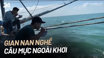 Gian nan nghề câu mực ngoài khơi | VTV24