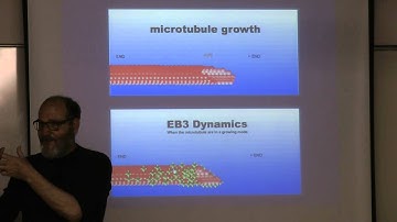 The degenerating brain: From research to hope - Eighth Lesson