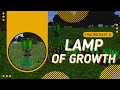 How to Set Up the Lamp of Growth for Your Farm