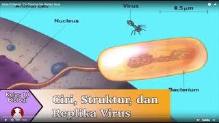 Kelas 10 - Biologi - Ciri, Struktur, dan Replika Virus | Video Pendidikan Indonesia