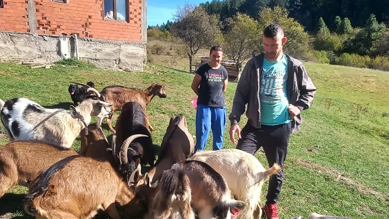 Da ljubav nema granice , bračni par Rahman-Sara to su dokazali iz Slovenije dosla u BiH na selo...