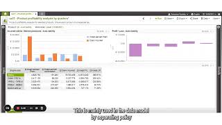 InsFocus BI  Granularity