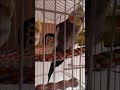 🦜🦜 Каспер и Рита