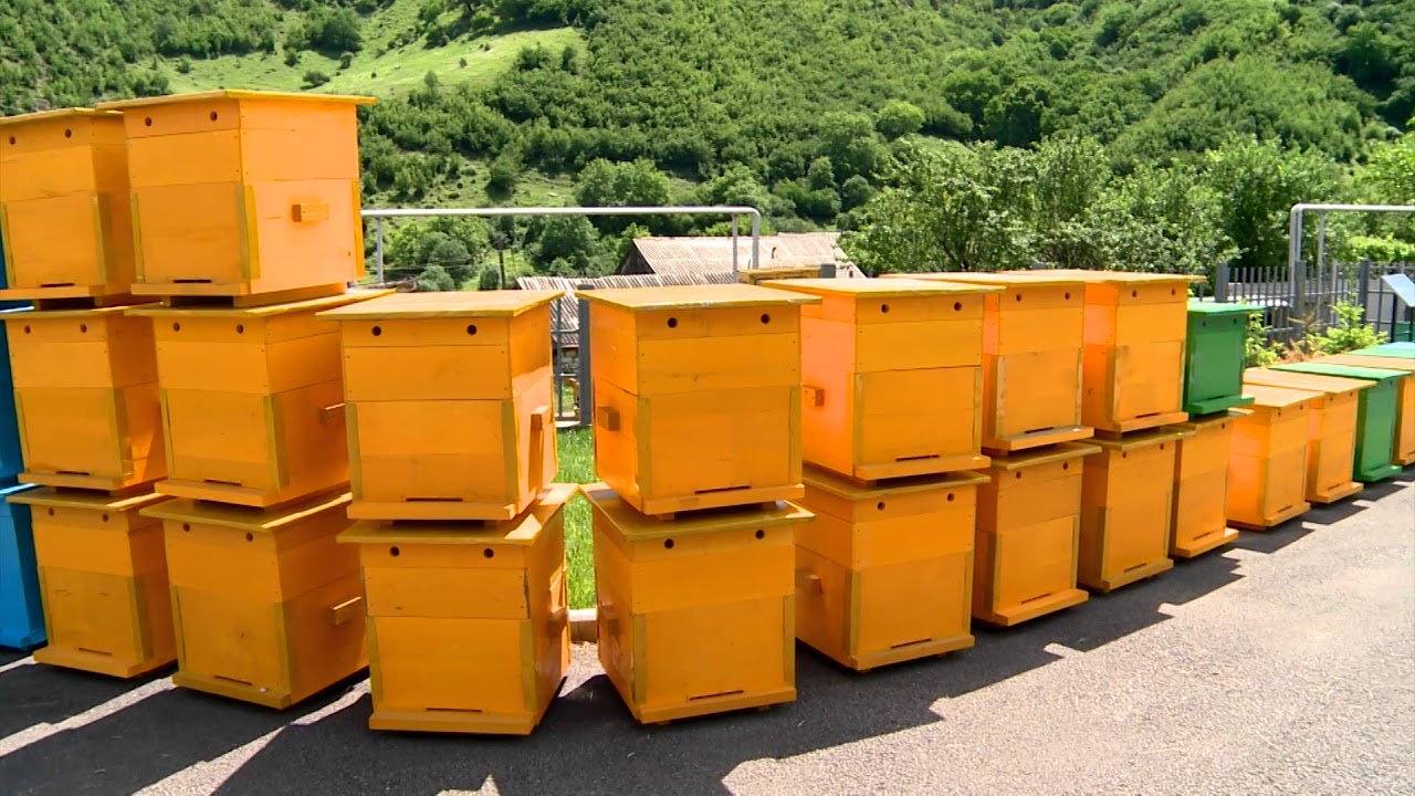 Խաչարձանցի ֆերմերնեին տրամադրվել է 80 փեթակ