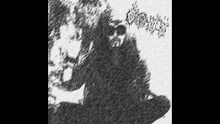 Gomma - The Owltopus