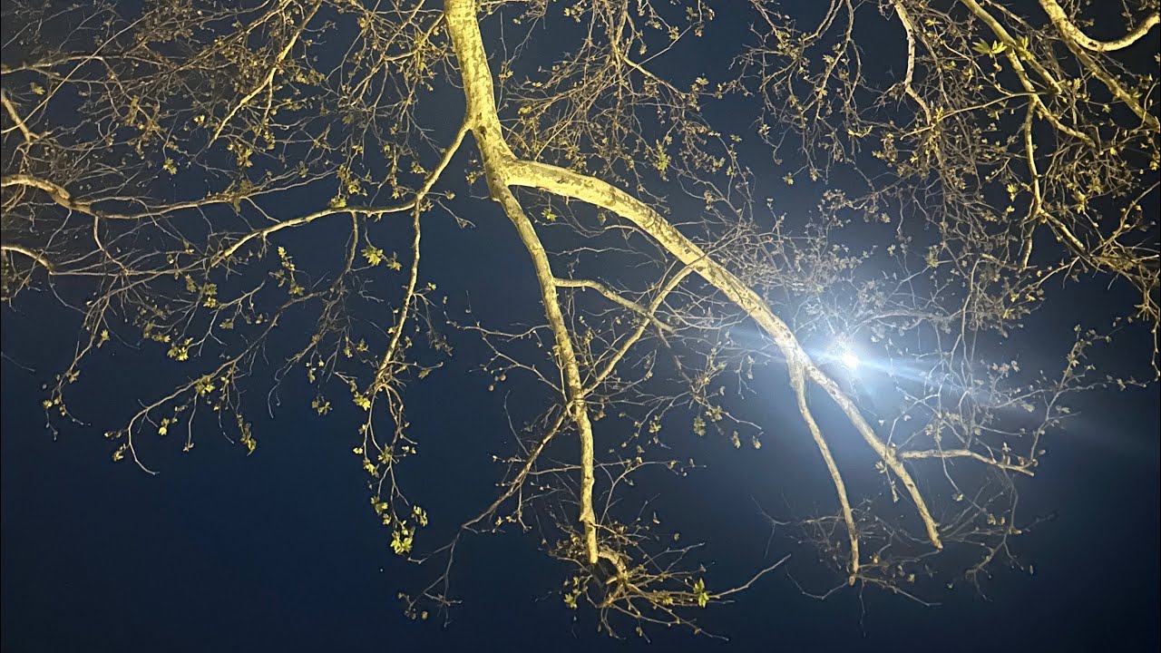 It Is In Your Control.