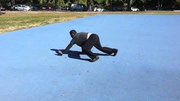 Quadrupedal Locomotion