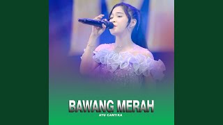 Bawang Merah