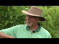 Prairie Yard & Garden: Raising Chickens