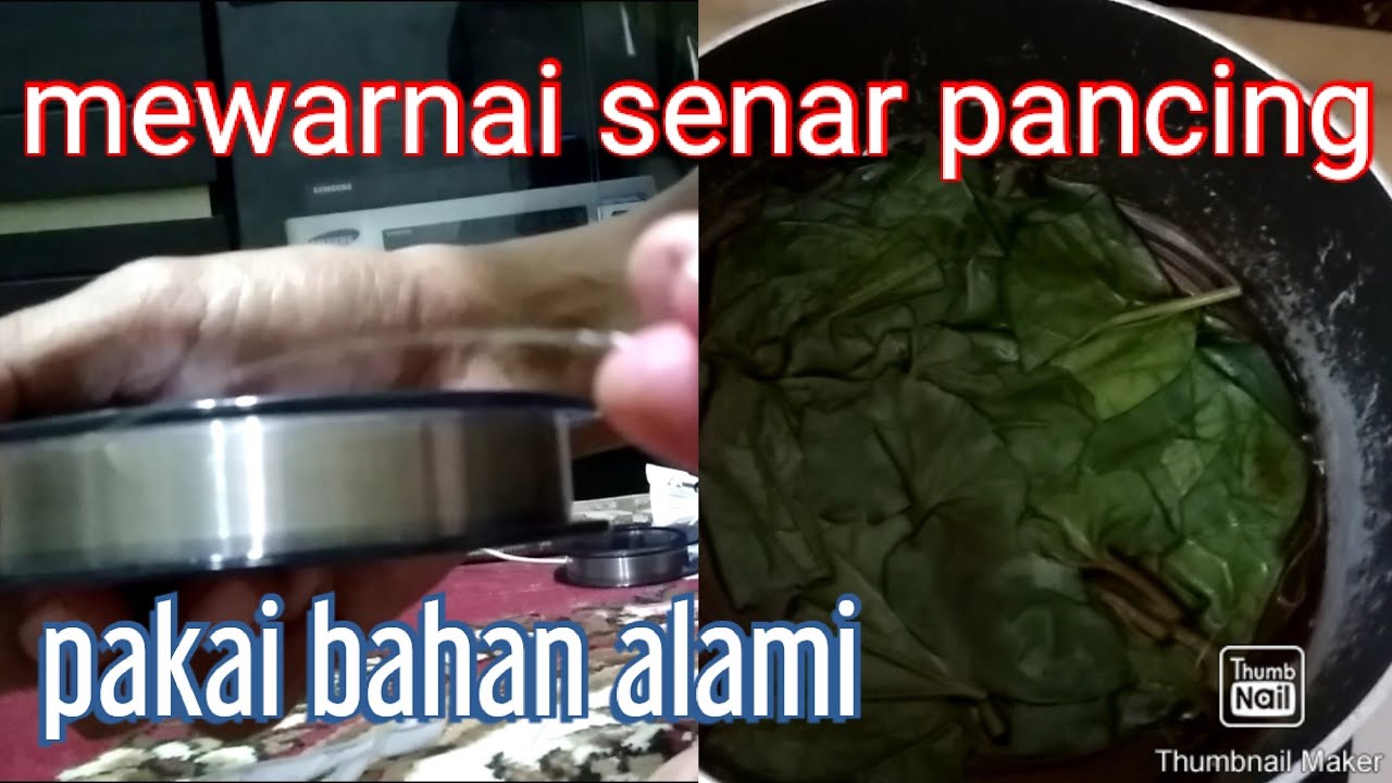 ENG SUBS Cara mewarnai senar pancing  untuk racik YouTube