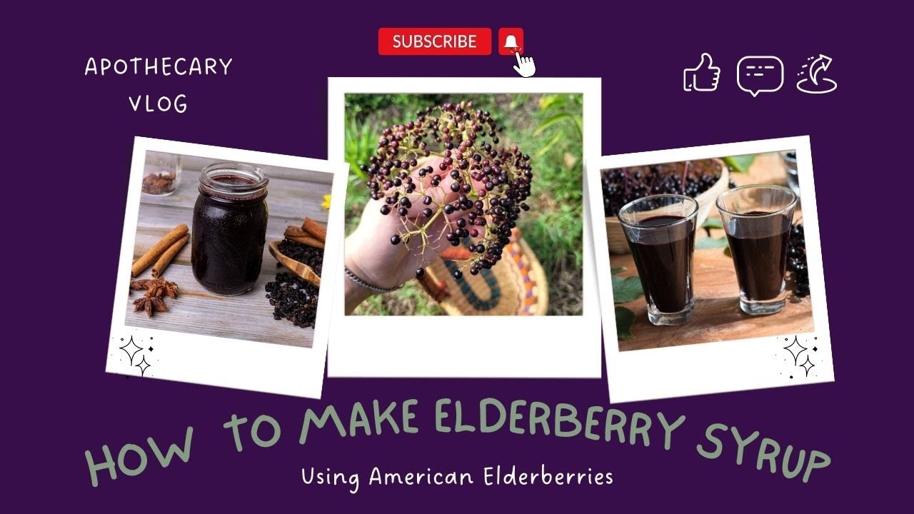 How to Make Elderberry Syrup American vs. European Elderberries YouTube