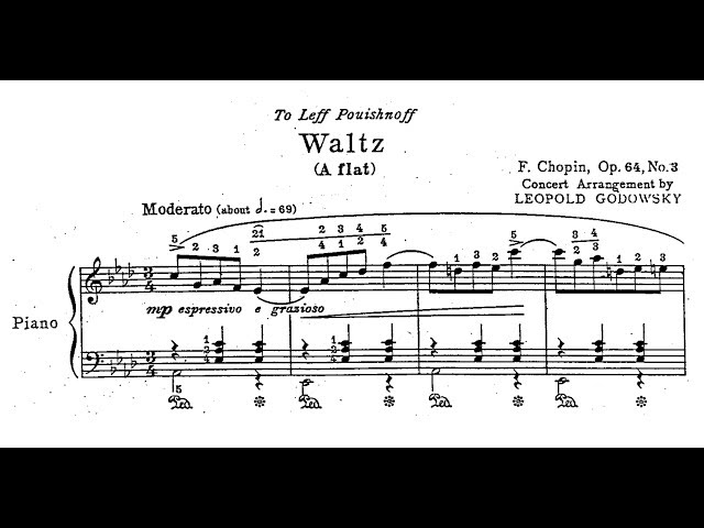 Chopin-Godowsky - Concert Arrangement of Waltz, Op.64 No.3 - YouTube