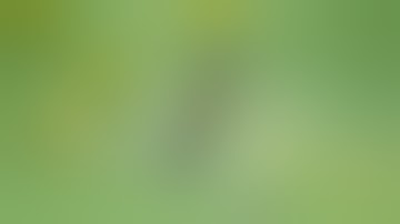 Product Animation blender ( E-cigarette )