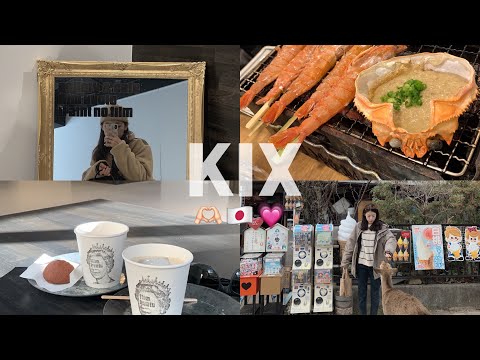 大阪快樂散步日💗🫶🏻🇯🇵 ｜螃蟹拌炒飯🦀️超迷你可麗露🌰超商拿鐵｜