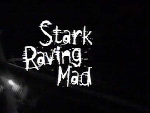 Stark Raving Mad theme song - YouTube