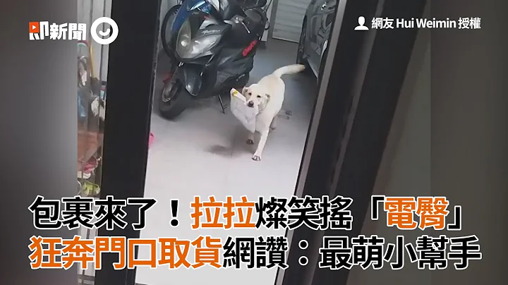 包裹来了！拉拉灿笑摇“电臀”狂奔门口取货网赞：最萌小帮手 - 天天要闻