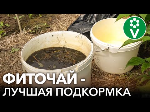 Видео: Запах компостного чая - помощь при неприятном запахе компостного чая