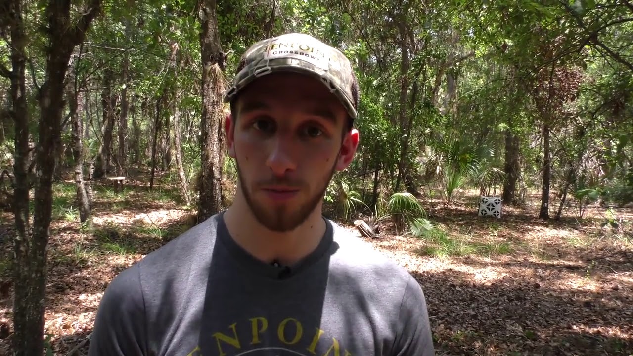 How to Find the Best Arrow Length for Your Crossbow