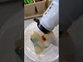 Kaiten-Sushi, conveyor-belt sushi