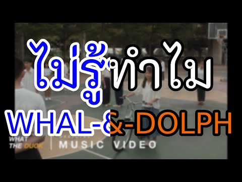 [KARAOKE] ไม่รู้ทำไม (Skyfall) - Whal & Dolph