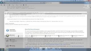 Secure Browsers and Proxy Settings screenshot 5