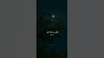 الَّذِينَ صَبَرُوا وَعَلَىٰ رَبِّهِمْ يَتَوَكَّلُونَ || القارئ عبد الرحمن مسعد