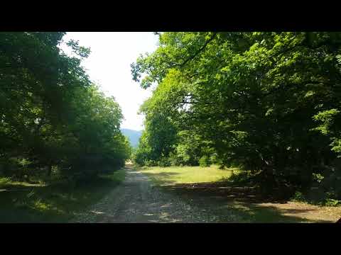 თოხლიაური მარიამჯვრის სახელმწიფო ნაკრძალი