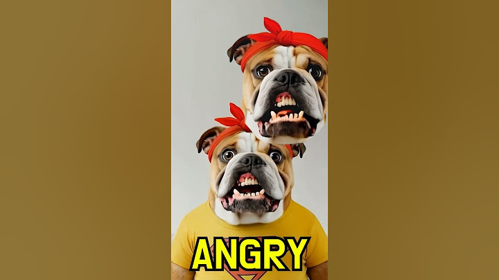 Let's Learn about Emotions the Fun Way! 😱😂😡😍🤣🤪#kidssong #funny #dog
