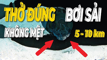 Cách thở không mệt trong bơi sải